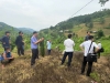 Kiểm sát viên Viện kiểm sát nhân dân khu vực 8 tham gia xem xét thẩm định tại chỗ trong vụ án tranh chấp dân sự